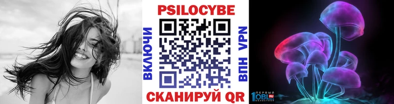 Галлюциногенные грибы Psilocybe  даркнет состав  Грязи  наркотики 